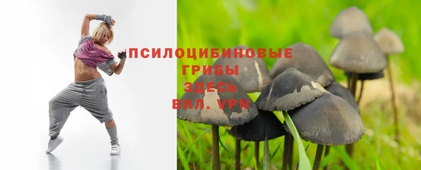 мдпв Лагань