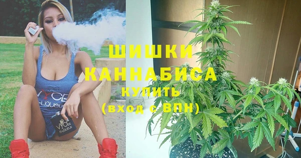 шишки Лиски