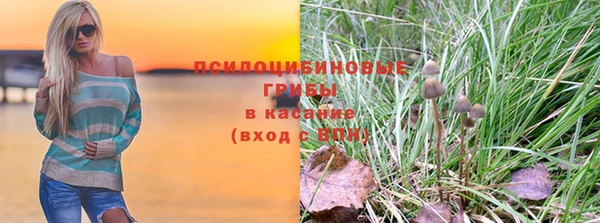 шишки Лиски