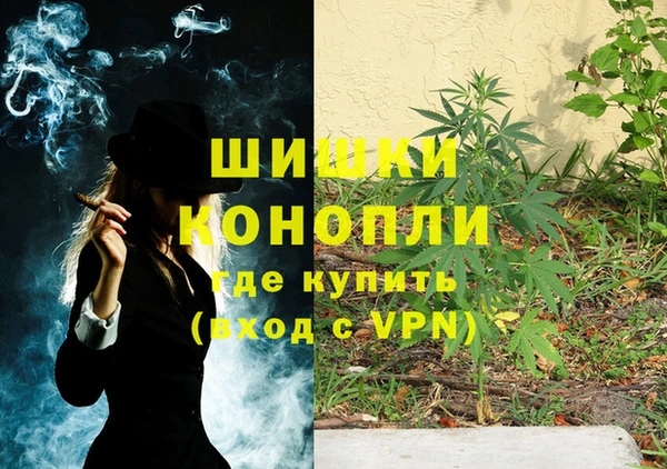 шишки Лиски