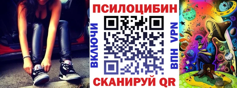 Псилоцибиновые грибы Psilocybe  Новоалександровск 